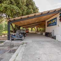 Puravida