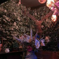 Nutopia