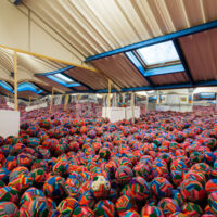 Fondation Cherqui