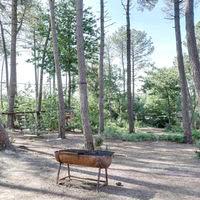 La Buena Cabana