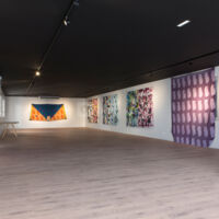 Peintures de Claude Viallat et Franck Challendard au premier étage de la galerie