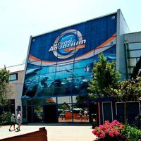 Grand Aquarium