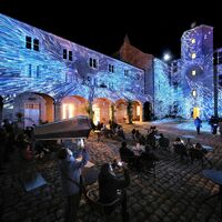 Spectacle nocturne dans la cour du château