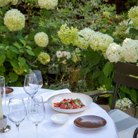 Apicius