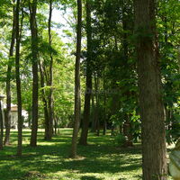 Domaine le Taleur