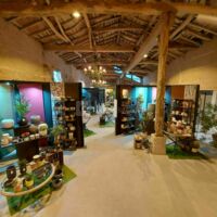 Show Room