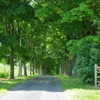 Domaine d'Amareins