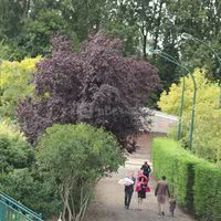 Le Forest
