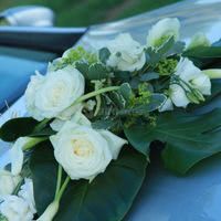 Domaine de la Traxene