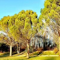 Domaine la Roque