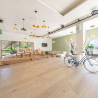 Garden Lounge