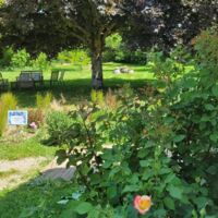 Le Verger d'Elise