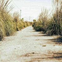 Chemin d'arrivée