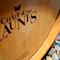 Château des Launes