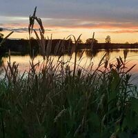 Etang de la foulquetière