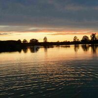 Etang de la foulquetière
