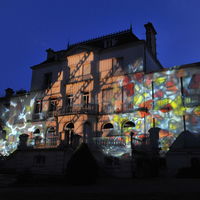 Projection façade