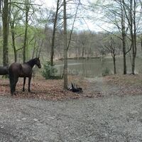 Domaine du Pavillon de Gouffern