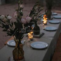 Repas dans la cour d'honneur