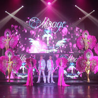 Spectacle revue Fascination