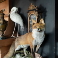 Le Manoir Maudit