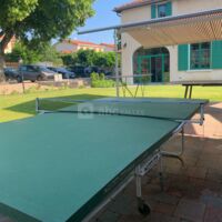 Table de ping pong