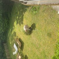 Villa Rochelaise au C Ur du Lafond