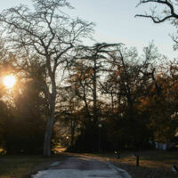 Domaine des Barrots