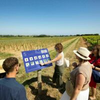 Parcours oenotouristique