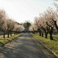Domaine Saint André