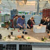 Atelier teambuilding