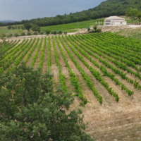 Domaine de la Mongestine