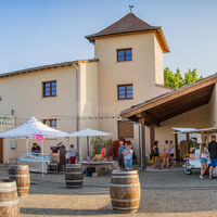 Vignoble Cassin