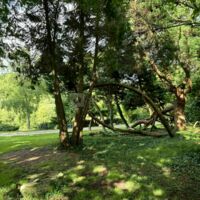 Le Jardin Saint Germain Lodges & Events