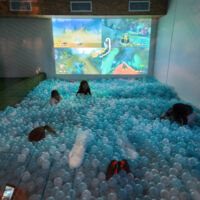 Piscine à balles géante - Mariokart