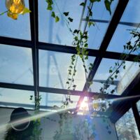 Espace intérieur sous verrière