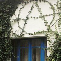 La Ferme du Ravin Bleu