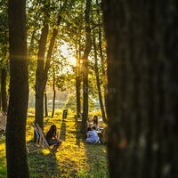 Domaine du Lac