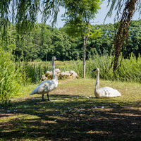 Domaine du Lac