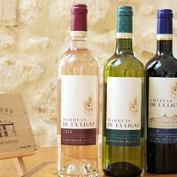 Vins du Château