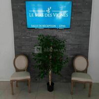 Mas des Vignes