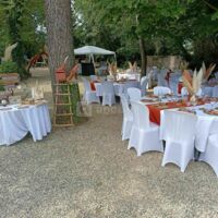Mas des Vignes