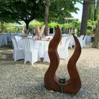 Mas des Vignes