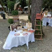 Mas des Vignes