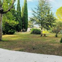 Mas des Vignes