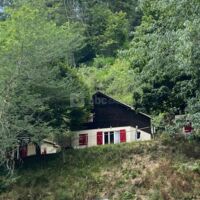 Hebergement en chalet