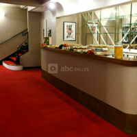 Bar du Palais des Glaces