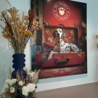 La Villa des Golf.e.s