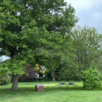 Jardin