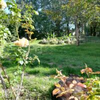 Vue arrière . Jardin